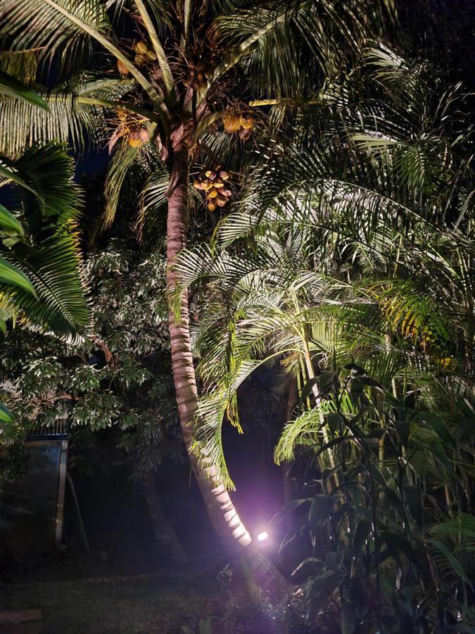 Kazbonzamis Villa Sainte-Clotilde Dış mekan fotoğraf